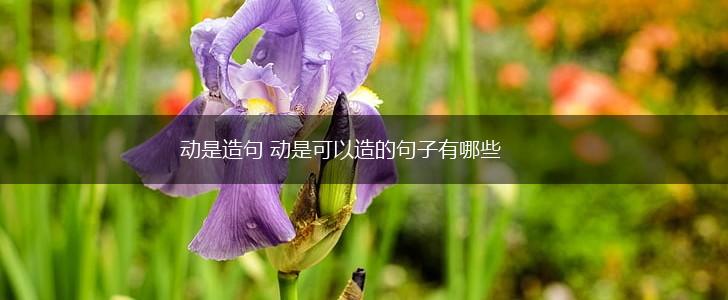 动是造句 动是可以造的句子有哪些,第1张 动是造句 动是可以造的句子有哪些,第1张