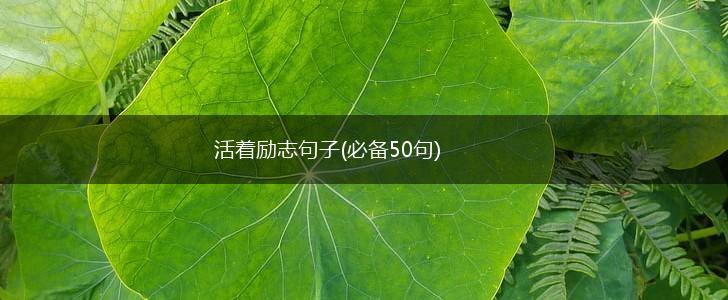 活着励志句子(必备50句),第1张