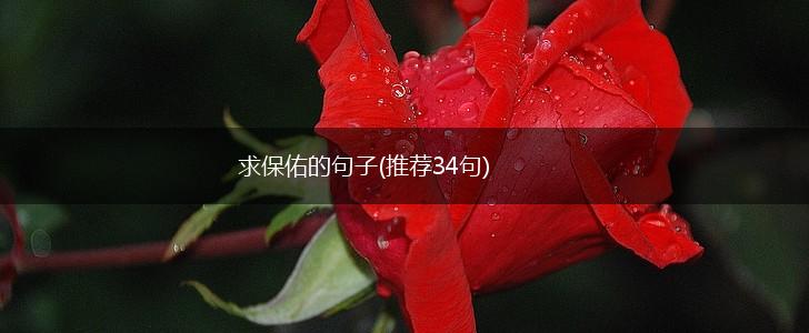 求保佑的句子(推荐34句),第1张