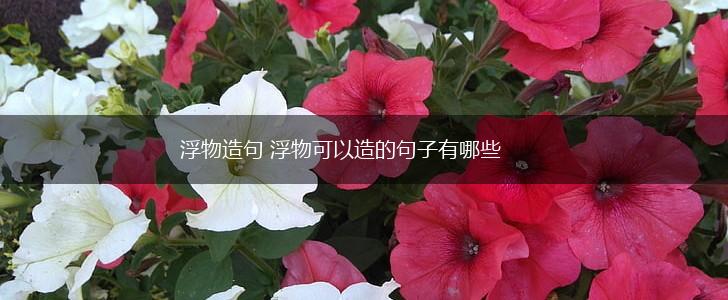 浮物造句 浮物可以造的句子有哪些,第1张