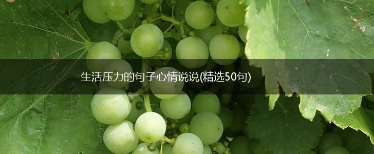 生活压力的句子心情说说(精选50句),第1张