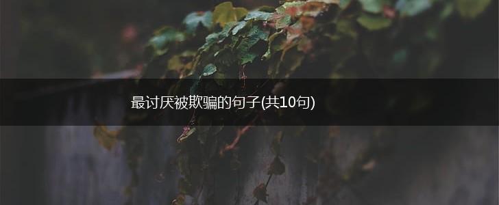 最讨厌被欺骗的句子(共10句),第1张