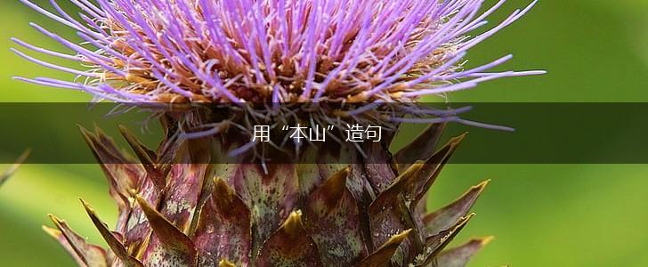 用“本山”造句,第1张