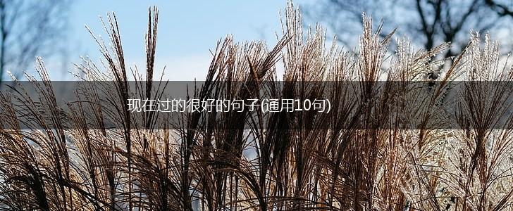 现在过的很好的句子(通用10句),第1张