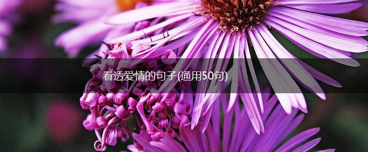 看透爱情的句子(通用50句),第1张