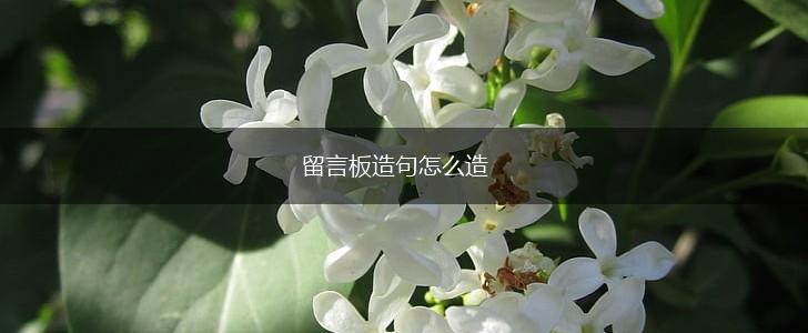 留言板造句怎么造,第1张