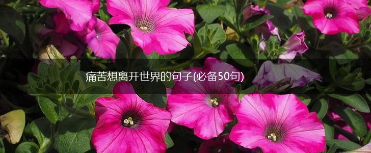 痛苦想离开世界的句子(必备50句),第1张
