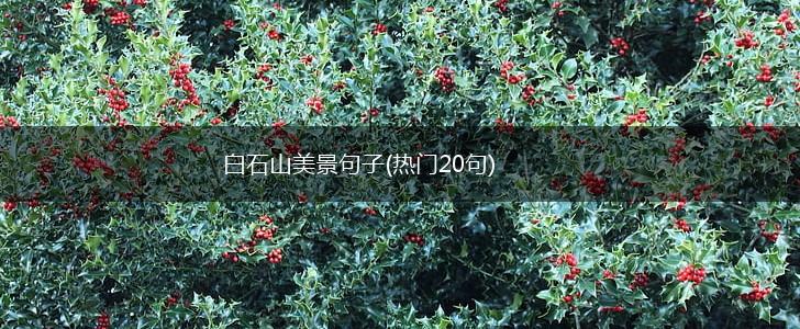 白石山美景句子(热门20句),第1张