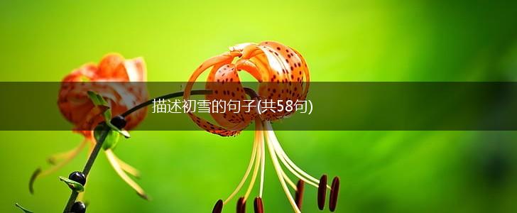 描述初雪的句子(共58句),第1张