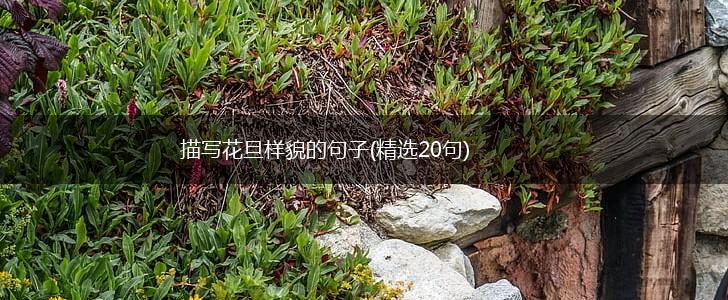 描写花旦样貌的句子(精选20句),第1张