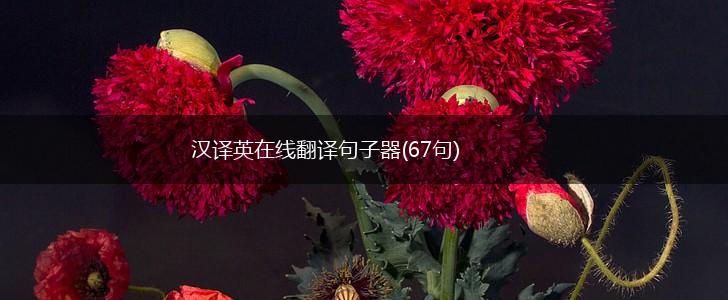 汉译英在线翻译句子器(67句),第1张