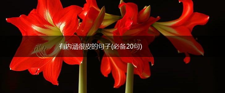 有内涵很皮的句子(必备20句),第1张