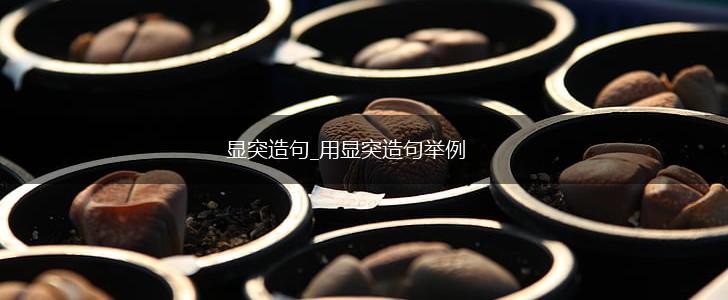 显突造句_用显突造句举例,第1张