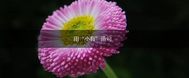 用“小有”造句,第1张 用“小有”造句,第1张
