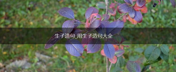 生子造句_用生子造句大全,第1张