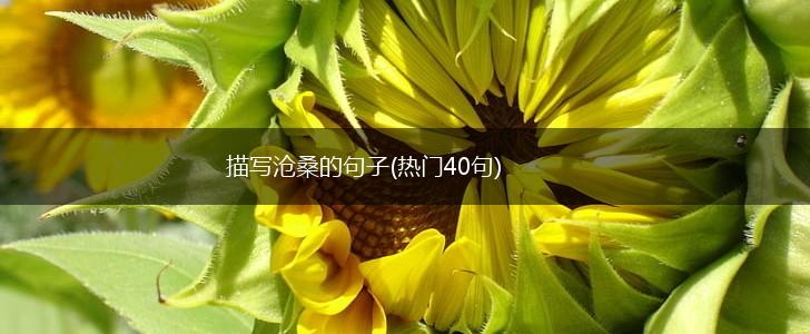 描写沧桑的句子(热门40句),第1张