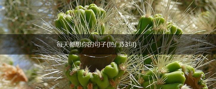 每天都想你的句子(热门53句),第1张