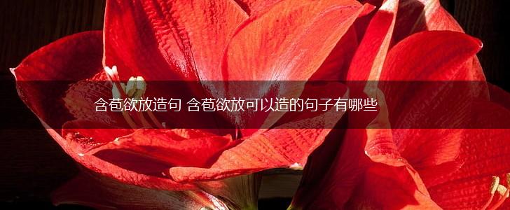 含苞欲放造句 含苞欲放可以造的句子有哪些,第1张 含苞欲放造句 含苞欲放可以造的句子有哪些,第1张