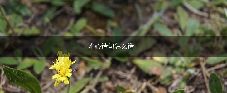 唯心造句怎么造,第1张