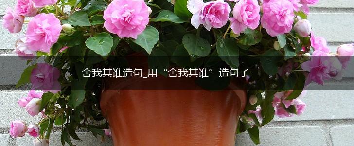 舍我其谁造句_用“舍我其谁”造句子,第1张