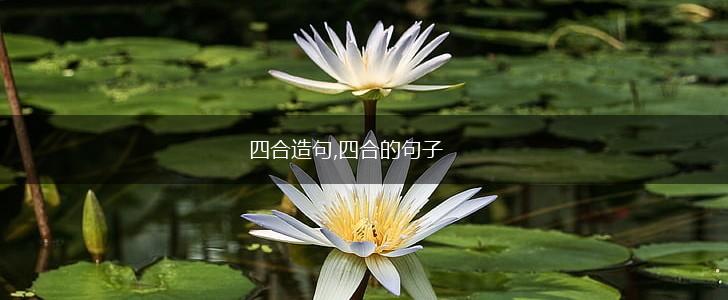 四合造句,四合的句子,第1张 四合造句,四合的句子,第1张