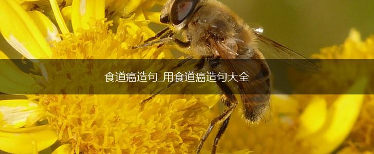 食道癌造句_用食道癌造句大全,第1张
