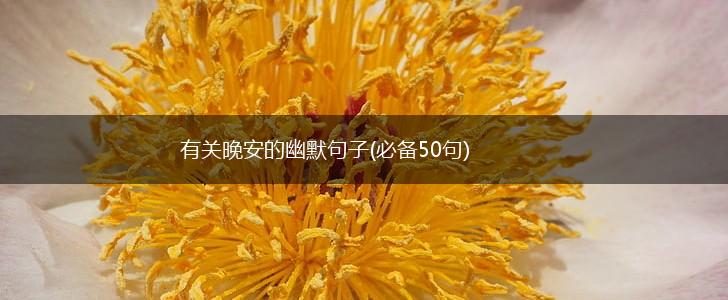 有关晚安的幽默句子(必备50句),第1张