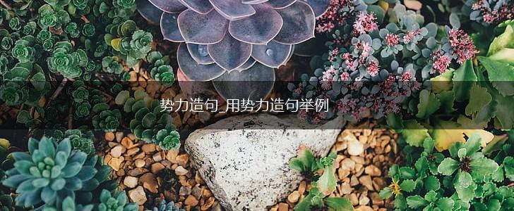 势力造句_用势力造句举例,第1张 势力造句_用势力造句举例,第1张