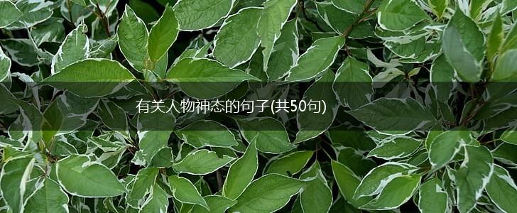 有关人物神态的句子(共50句),第1张