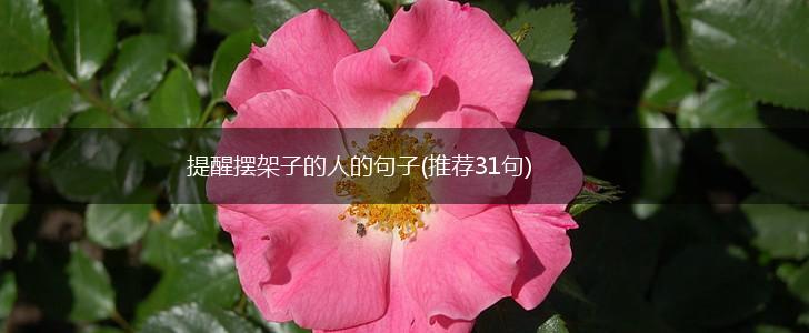 提醒摆架子的人的句子(推荐31句),第1张
