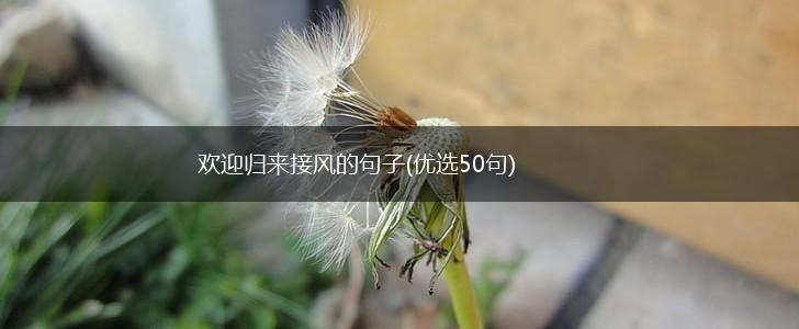 欢迎归来接风的句子(优选50句),第1张