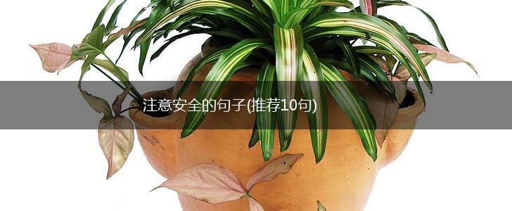 注意安全的句子(推荐10句),第1张