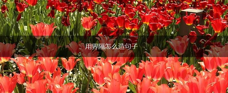 用界隔怎么造句子,第1张 用界隔怎么造句子,第1张