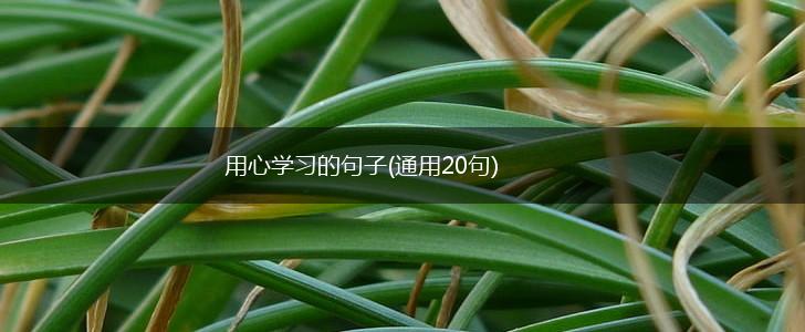 用心学习的句子(通用20句),第1张