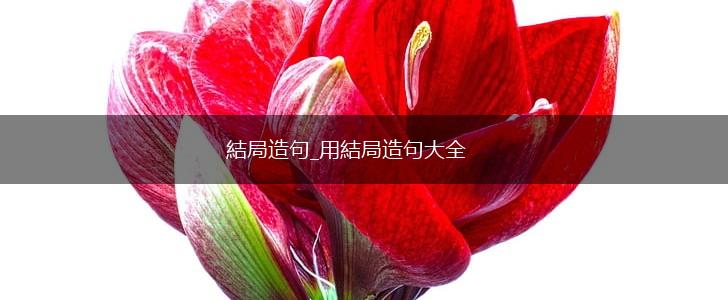 結局造句_用結局造句大全,第1张