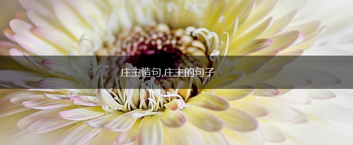 庄主造句,庄主的句子,第1张 庄主造句,庄主的句子,第1张