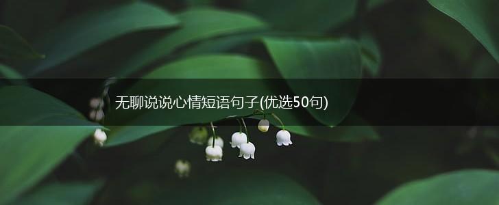 无聊说说心情短语句子(优选50句),第1张