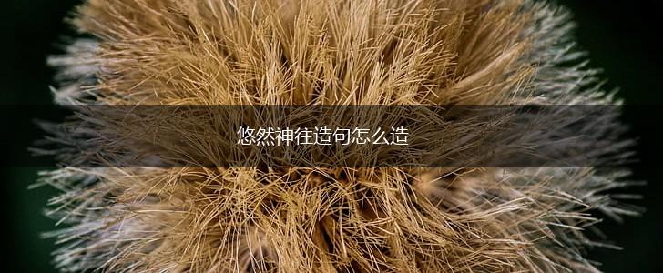 悠然神往造句怎么造,第1张