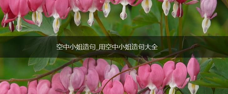 空中小姐造句_用空中小姐造句大全,第1张 空中小姐造句_用空中小姐造句大全,第1张
