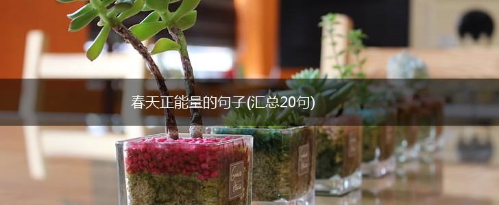 春天正能量的句子(汇总20句),第1张