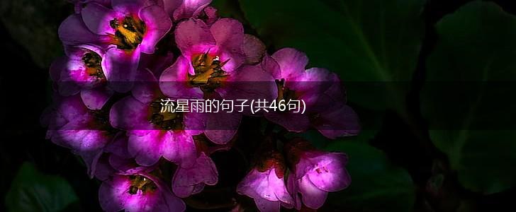 流星雨的句子(共46句),第1张