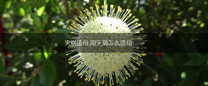 灾祸造句,用灾祸怎么造句,第1张 灾祸造句,用灾祸怎么造句,第1张