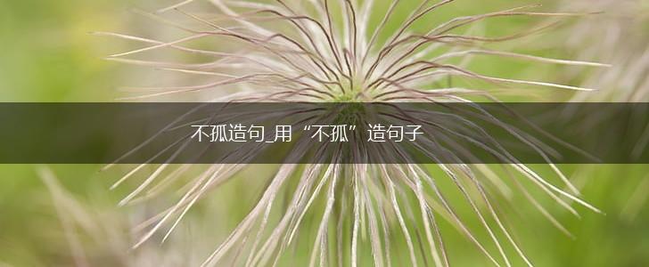 不孤造句_用“不孤”造句子,第1张