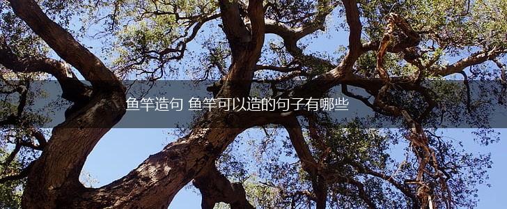 鱼竿造句 鱼竿可以造的句子有哪些,第1张 鱼竿造句 鱼竿可以造的句子有哪些,第1张