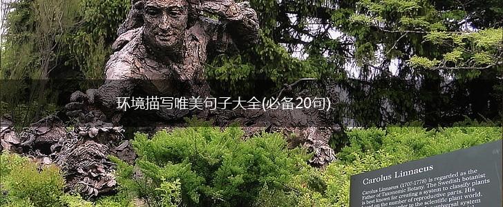 环境描写唯美句子大全(必备20句),第1张