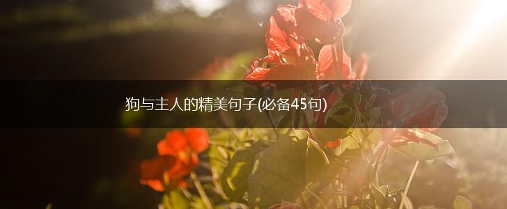 狗与主人的精美句子(必备45句),第1张