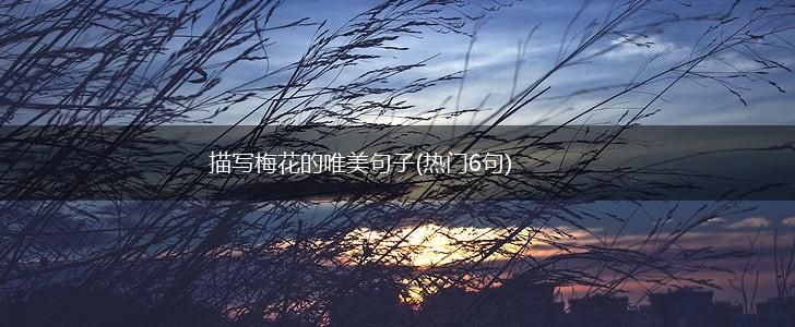描写梅花的唯美句子(热门6句),第1张