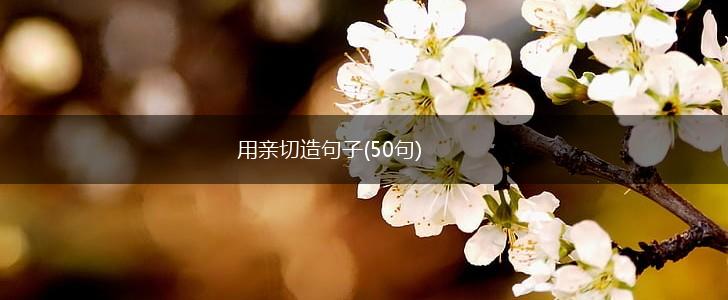 用亲切造句子(50句),第1张