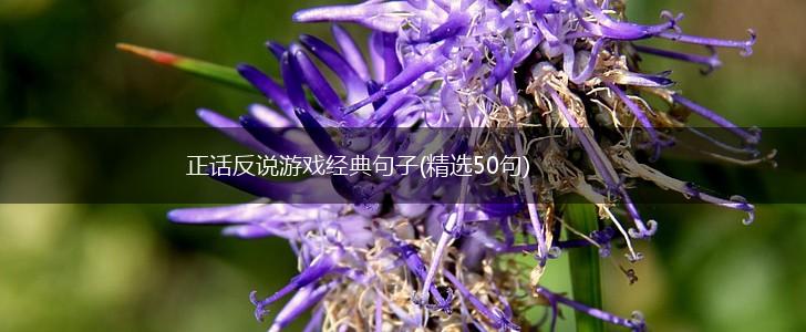 正话反说游戏经典句子(精选50句),第1张