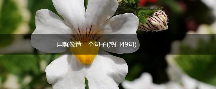 用就像造一个句子(热门49句),第1张